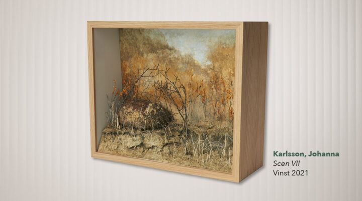 Apokonst_Bildspel_1440x802_3