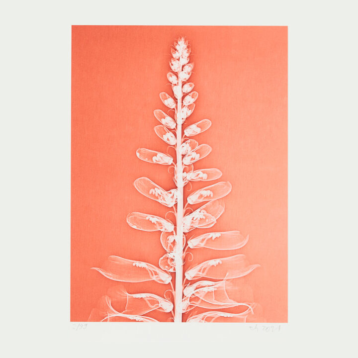 2021_Elisabeth_Henriksson_850x850px